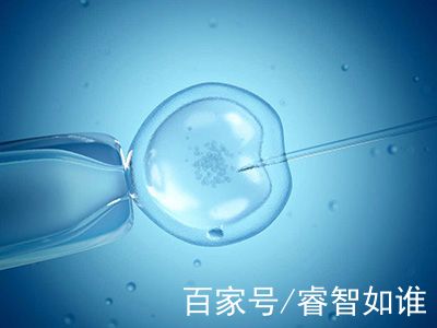 环境